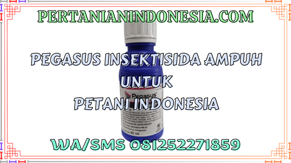 Pegasus Insektisida Ampuh Untuk Petani Indonesia